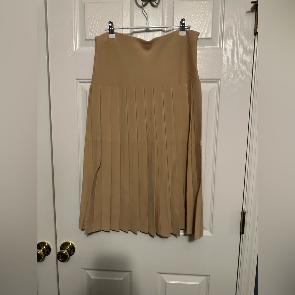 NWT Aleeza Paris Wonder Skirt - Picture 2 of 3